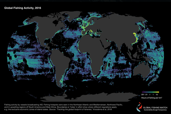 Global fishing activity 2016 (Global Fishing Watch)