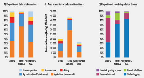 Drivers of deforestation and degradation.