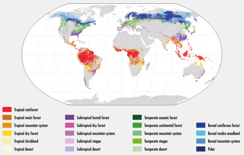 Forests by ecological zone.